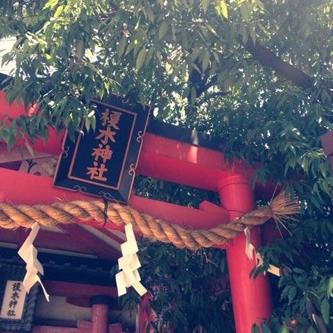 photo:06