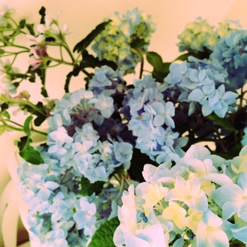 photo:01