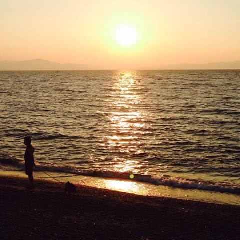 photo:01