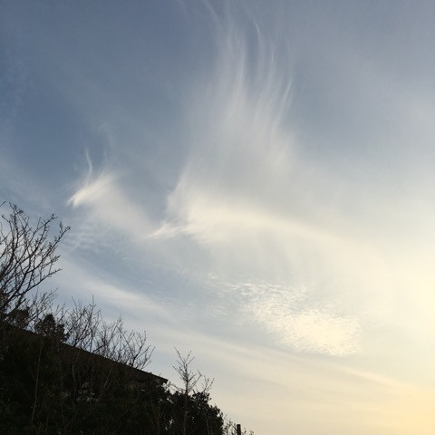 {79E0FFE3-B855-4B30-89D8-1A70DCED9482:01}