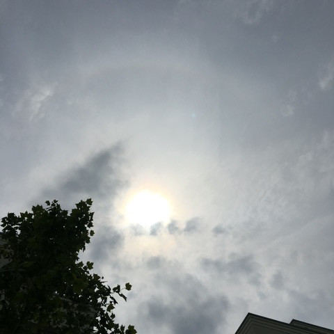 {CF2A3144-FACB-4B70-A6C7-62B377DCEF88:01}