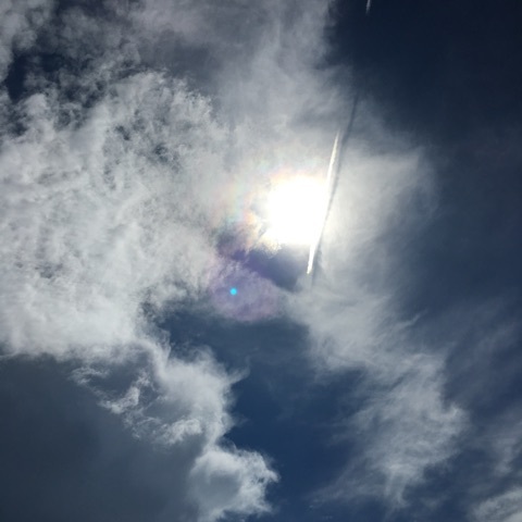 {3623EDD6-5710-4EAB-9EE1-7A97F5A2C677:01}