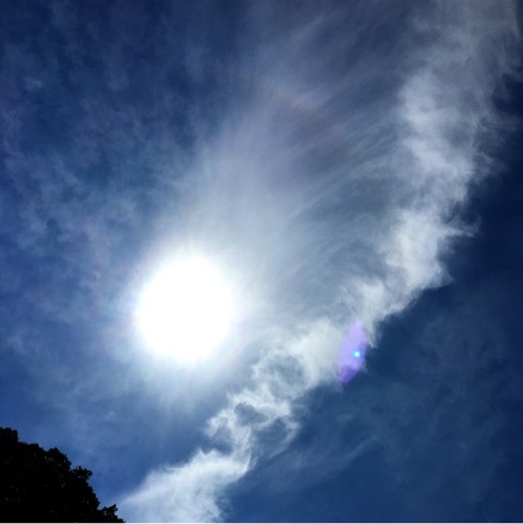 {604D26C9-8C80-4894-A496-D31BB694C6CB:01}