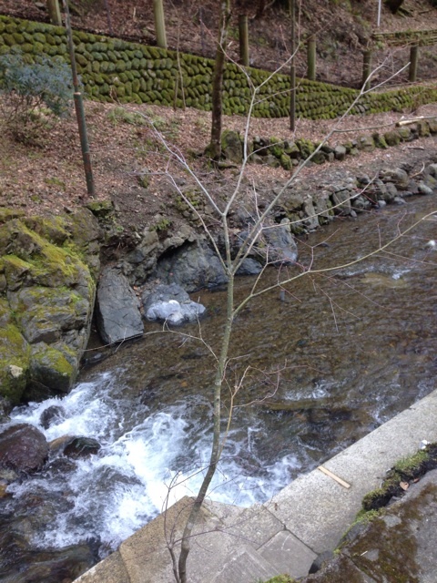 photo:02