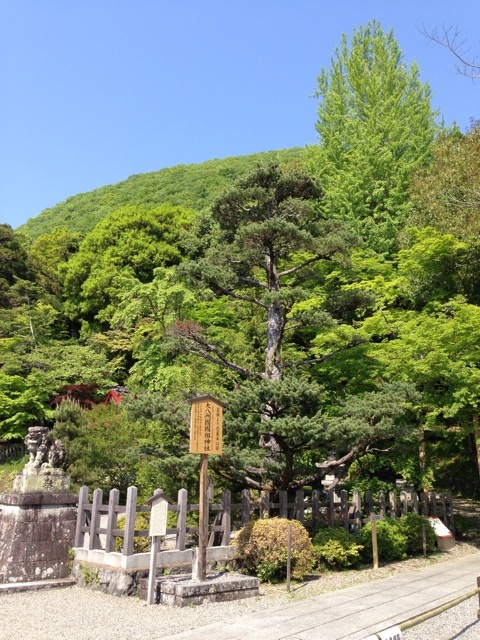 photo:01