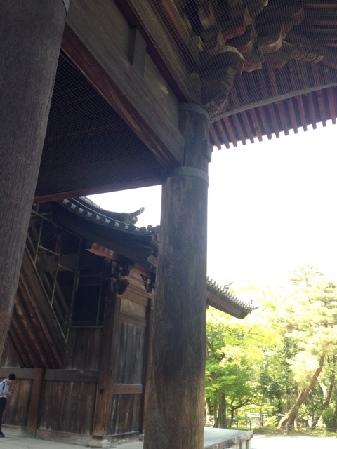 photo:02
