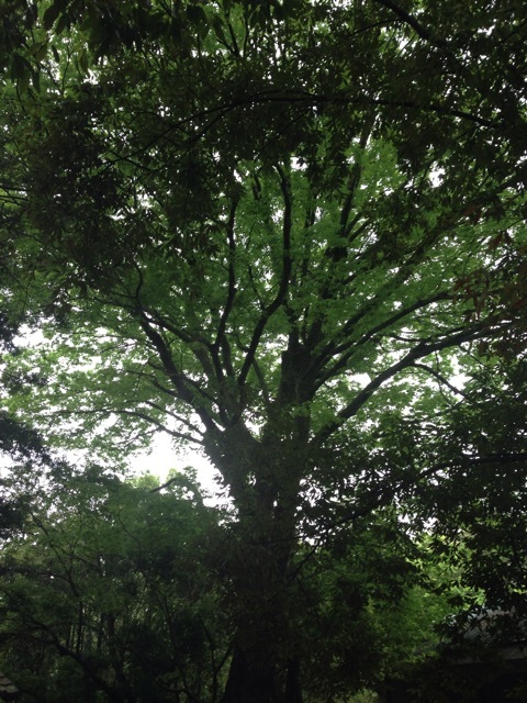 photo:01