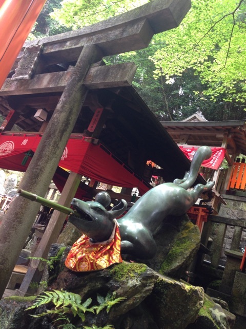 photo:06