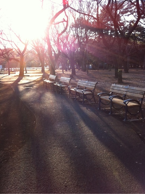 photo:01