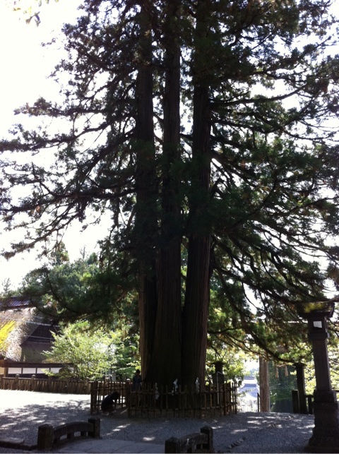 photo:01