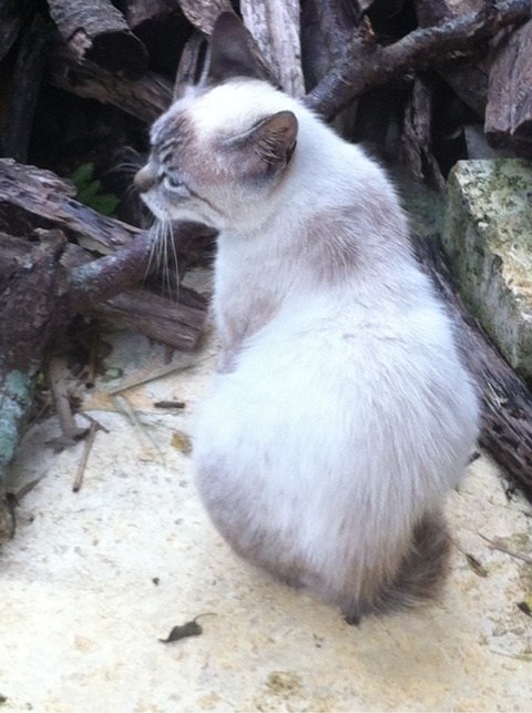 photo:07