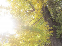 おんなの習慣”40代までに身につける”明日を変える未来軸