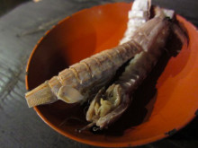 $惹き寄せ未来を創るおんなの習慣