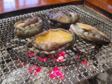 $惹き寄せ未来を創るおんなの習慣