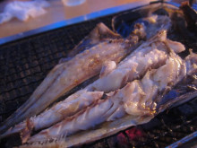 $惹き寄せ未来を創るおんなの習慣